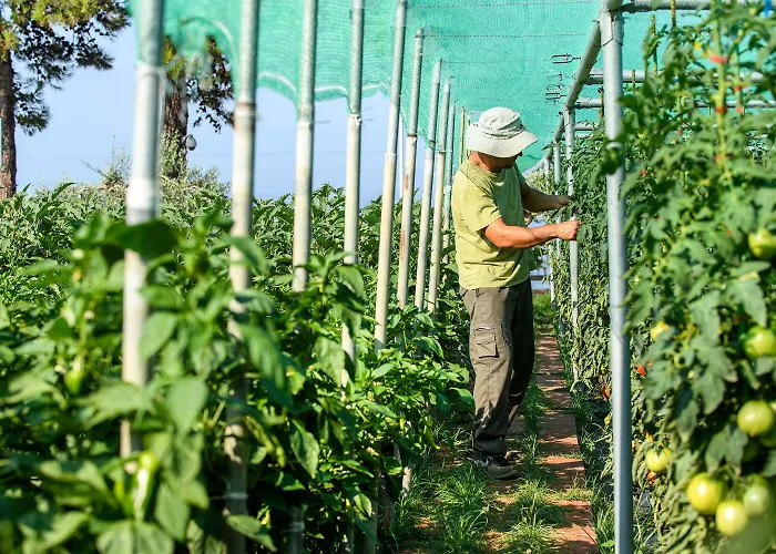 Alexandra Elegance Bridging Generations (adults Only) 酒店 波托什