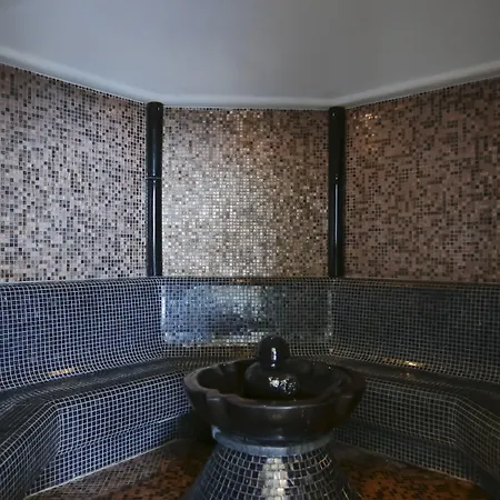 Alexandra Elegance Bridging Generations (adults Only) ポトス